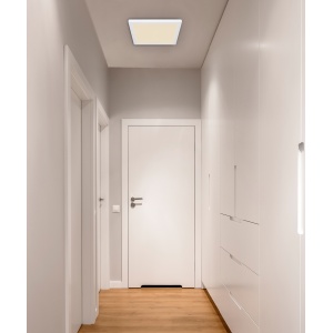 12380-24W am