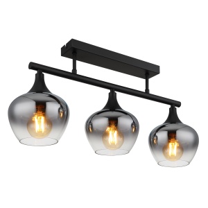 15548-3D1 a