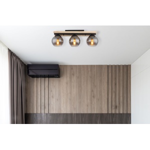 15569-3D am