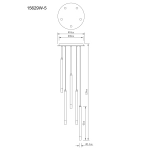 15629W-5 zld