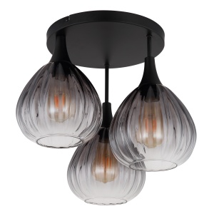 15887-3D b
