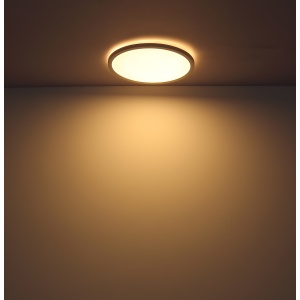41562-24W s