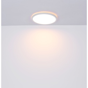 41562-24W t