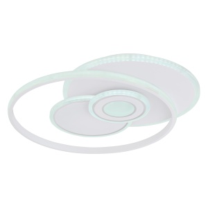 48442-50 g